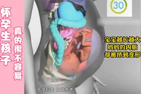 宝宝越长越大，妈妈的内脏却被挤到变形，怀孕生孩子真的不容易！