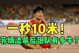 一秒10米！苏炳添幕后团队有多牛？百米短跑从来就不是一个人的事视频封面