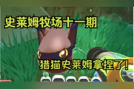 【问心解说】史莱姆牧场第十一期，终于抓到了猎猫史莱姆呀！