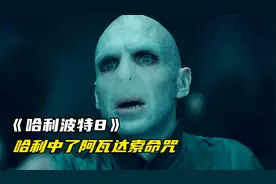 《哈利波特8》哈利中了阿瓦达索命咒，但为什么没有死呢视频封面