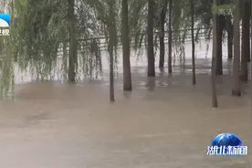 警惕！长江武汉关水位超警戒视频封面