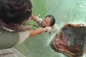 金鱼精到死也不会讲的秘密，他吃童男童女，根本不是为了长生！视频封面