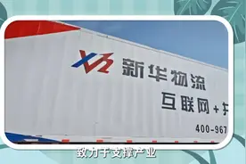 宁夏菜心：从“南菜北种”到“北菜南运”，这些年我们经历了什么