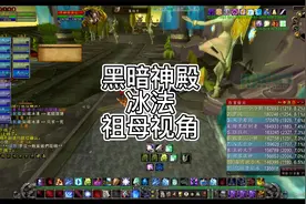 黑暗神殿冰法祖母视角