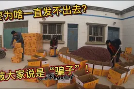 新疆若羌灰枣卖爆单，为啥一直发不出去?小青被大家说是“骗子”视频封面