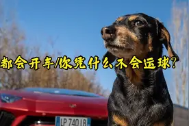 你会打篮球吗？？？视频封面