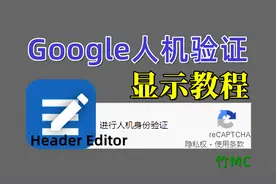【小竹】Google人机验证显示教程
