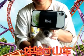 带狗狗坐过山车是什么感觉？狗子第一次玩心情是这样的视频封面