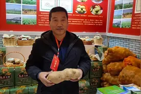 山西最好的土豆之乡，吕梁岚县，小土豆，大产业，能致富！视频封面