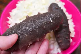 白菜配海参，媳妇做海鲜汤面，出锅那一刻，馋得口水直流，太香了视频封面