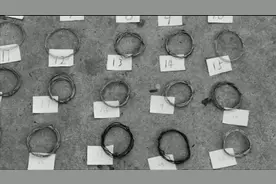 嘴太馋！男子进山下套猎斑羚  下山即被刑拘！视频封面