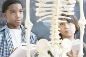 人体一共有206块骨头，可为什么中国人只有204块？那两块去哪了？