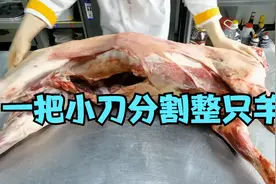 只用一把小刀分割整只羊，看蒙古大厨如何操作@美食作家王刚视频封面