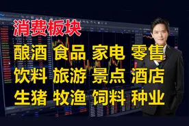 消费板块：酿酒、食品、饮料、家电、旅游、生猪、种业、饲料等视频封面