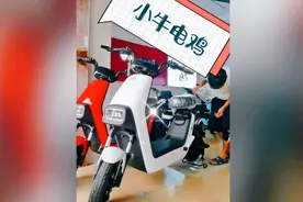 2499入手了，一台可以遛狗的电动车。。。视频封面