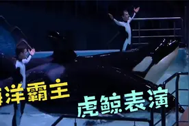 俄罗斯~海参崴海洋馆，海洋霸主，体型最大的海洋哺乳动物虎~虎鲸