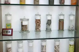 这些动物、石头竟然也是中药！云南民族医药博物馆，让人大开眼界视频封面