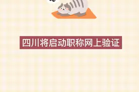 四川将启动职称网上验证视频封面