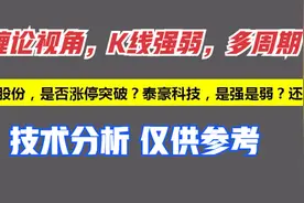 中鼎股份，是否涨停突破？泰豪科技，是强是弱？还有机会吗？视频封面