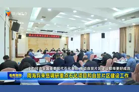 周海兵来岳调研重点石化项目、自贸片区建设工作