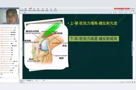 运动系统是由什么组成的？专家讲解运动系统是由4个部分组成的视频封面