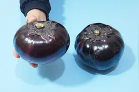 你家里买了圆茄子吗？切圆茄子的正确方法，记得告诉家人和朋友