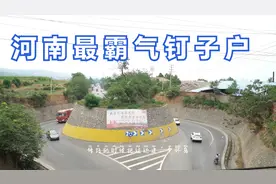 位于焦作中站影视路的老槐树，修公路还得绕着它视频封面