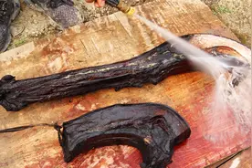 老腊肉布满霉灰看着就嫌脏，高压水枪清洗简直太干净，看完解脱了