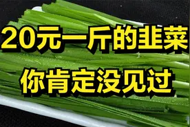 男子种出20元一斤的韭菜，年销售额达3亿元，还带动200农户脱贫!视频封面