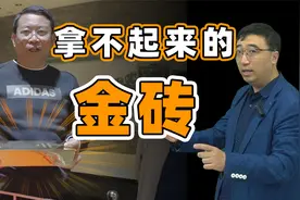 金砖挑战：价值千万的金砖抓起来就拿走！用物理学分析一下可行性视频封面