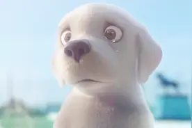 狗狗梦想成为导盲犬，因此不断努力训练，不料在考试时失误了视频封面