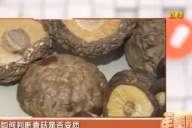 如何判断香菇是否变质？专家有几个小窍门，快来看看！