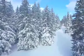 流过泪的眼睛更明亮，滴过血的心灵更坚强！视频封面