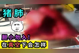 进入真空环境后，肺会变成什么样？老大南花了1400来做模拟实验