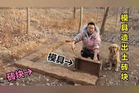 小伙野外建造土屋，用模具造出的土砖方方正正的，金毛大喊真漂亮