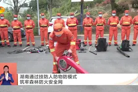 [湖南卫视]湖南通过技防人防物防模式 筑牢森林防火安全网视频封面