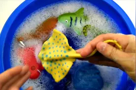 带你认识海洋中拥有细长尾巴的魟鱼