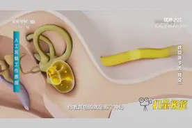 到底什么是人工耳蜗？一段动画演示其工作原理，来看看|健康之路视频封面