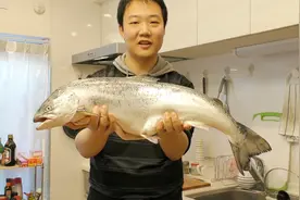 10斤的三文鱼做刺身和盖饭！太过瘾了