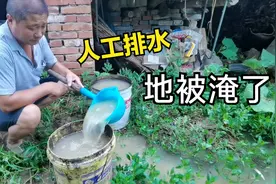 湖北连续下20多天雨，地全部被淹！农村大叔如何排水？视频封面