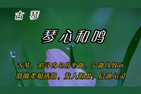 古琴《琴心和鸣》，羽调清纯如水滋养肾气，聆听7～11时视频封面