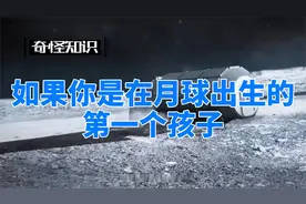 如果你是在月球出生的第一个孩子视频封面