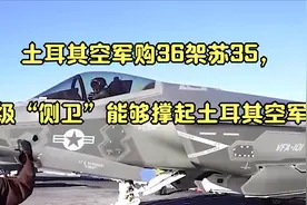 土耳其空军购36架苏35，超级“侧卫”能够撑起土耳其空军？视频封面