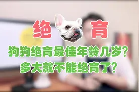 狗狗绝育的最佳年龄，以及多大就不能绝育。视频封面