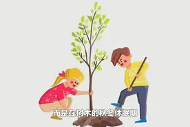 什么时候种树成活率最高？其实并不是春季！而是树木的秋冬休眠期视频封面