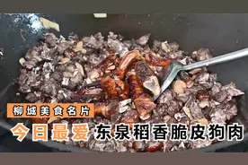 柳城美食名片之东泉稻香脆皮狗肉，视频封面