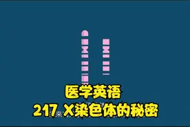 【中文字幕 全集】医学英语 217 X染色体的秘密视频封面