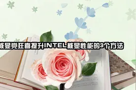 核显党狂喜提升INTEL核显性能的3个方法【转载】视频封面