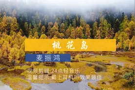 《桃花岛》仙剑一最好听的配乐？承载着一代人的青春视频封面