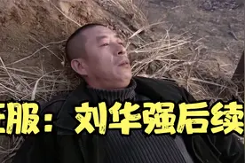 征服后续：至刘华强后，他的小弟们越狱后的故事。视频封面